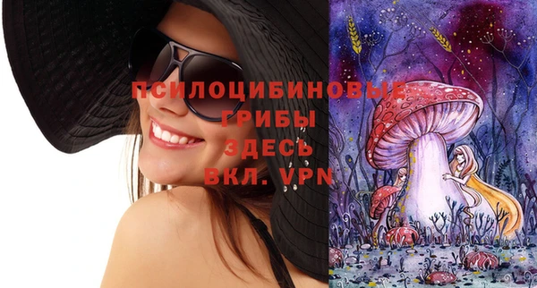 ешки Семилуки