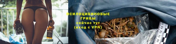 метадон Богородск