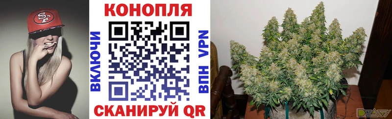 Каннабис индика  Гусь-Хрустальный 